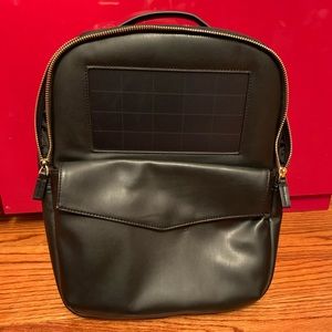 Birksun Solar Backpack